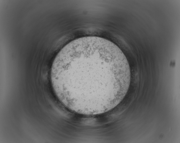 X0000091970266200710041055