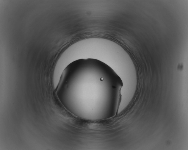 X0000091970268200710041055