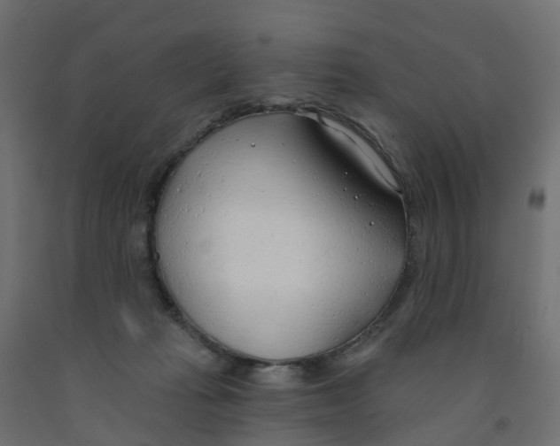 X0000091970269200710041055
