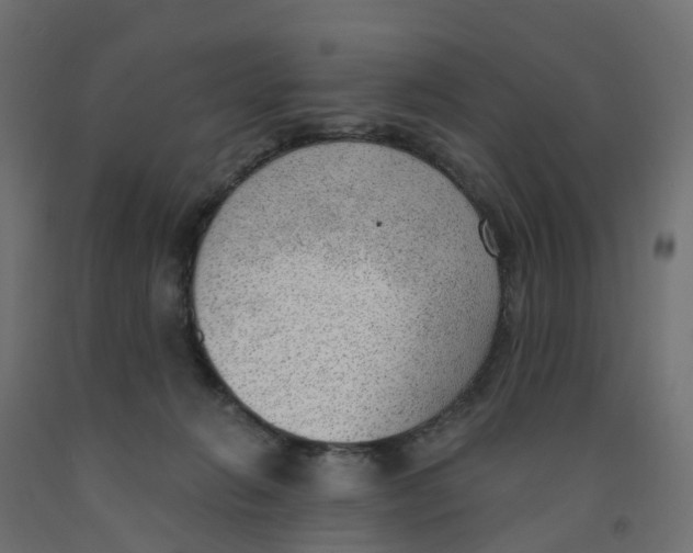 X0000091970270200710041055