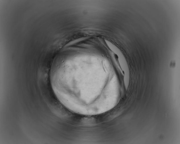 X0000091970271200710041055