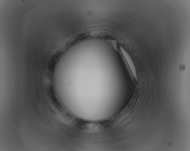 X0000091970272200710041055