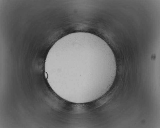 X0000091970273200710041055