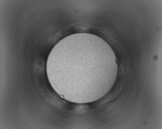 X0000091970274200710041055