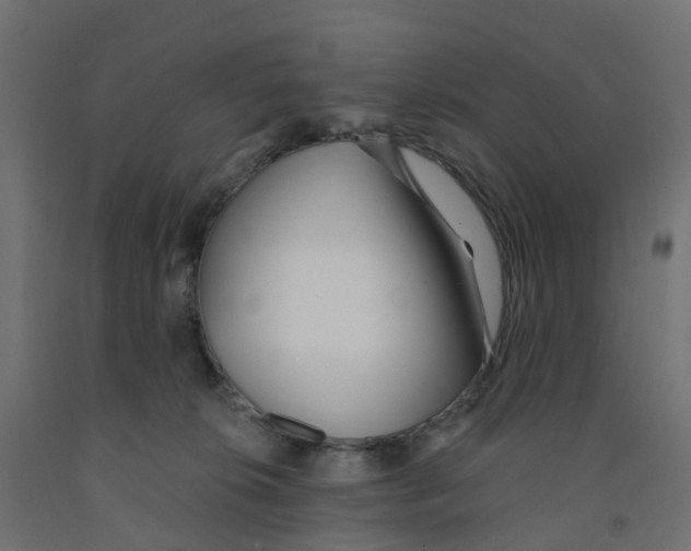 X0000091970276200710041055