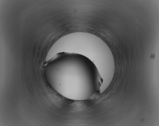 X0000091970280200710041055