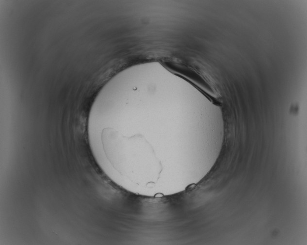 X0000091970281200710041055
