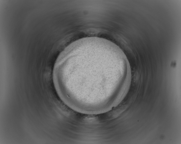 X0000091970283200710041055
