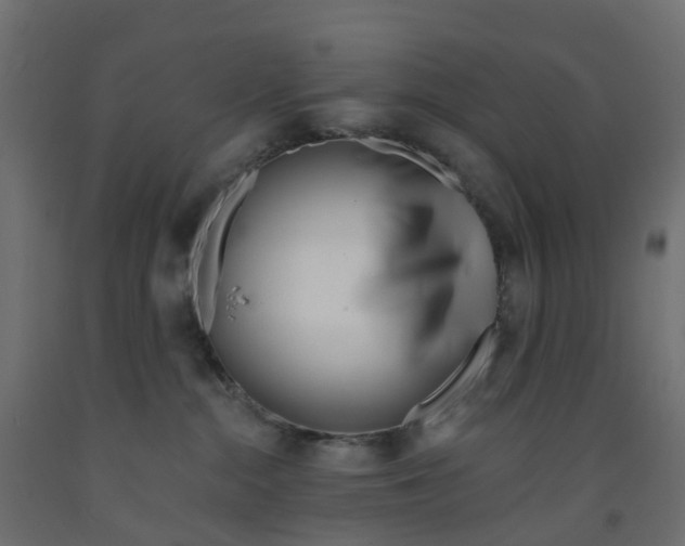 X0000091970284200710041055