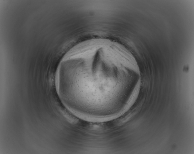 X0000091970285200710041056