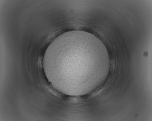 X0000091970286200710041056