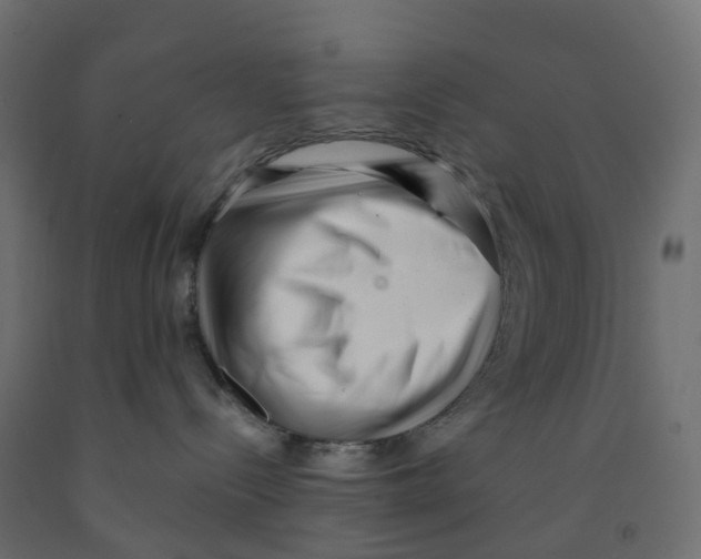 X0000091970288200710041056