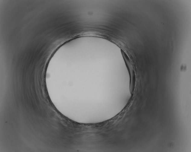 X0000091970289200710041055