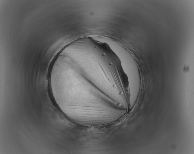 X0000091970290200710041055