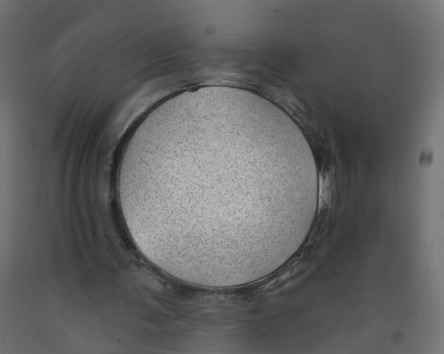 X0000091970291200710041055