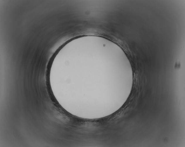 X0000091970292200710041055