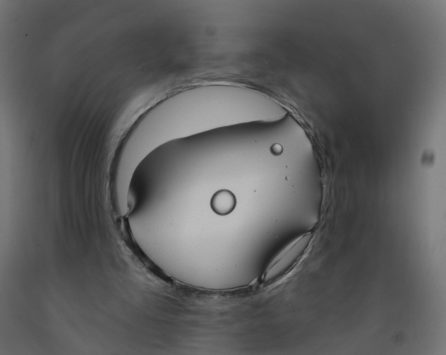 X0000091970293200710041055