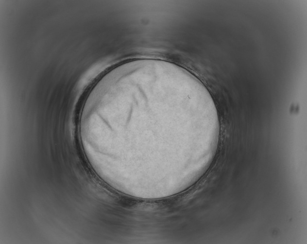 X0000091970294200710041055