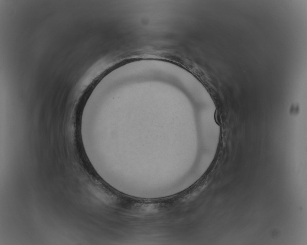 X0000091970295200710041055