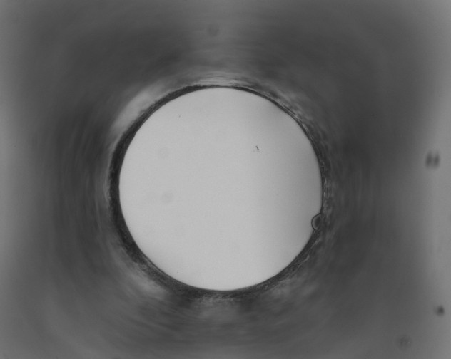 X0000091970296200710041055