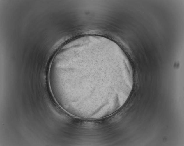 X0000091970298200710041054
