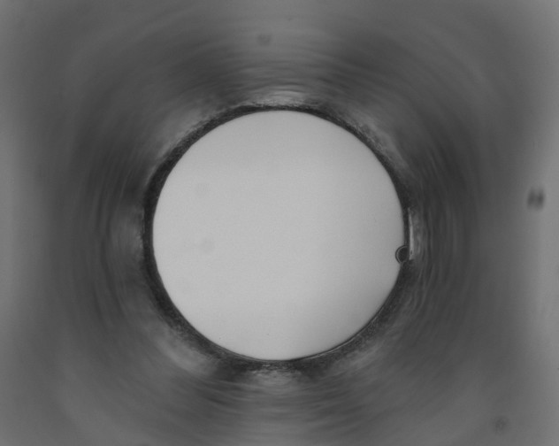 X0000091970300200710041054