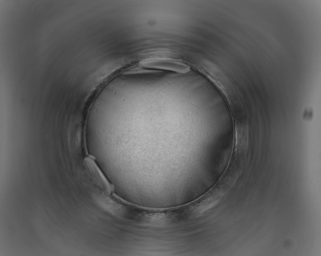 X0000091970301200710041054