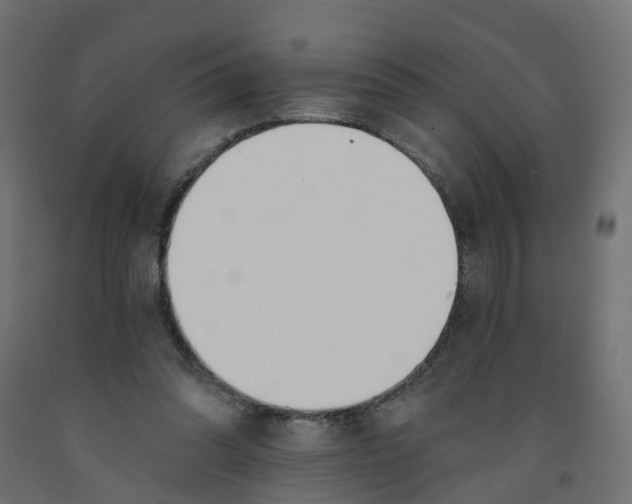 X0000091970302200710041054