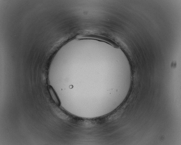 X0000091970305200710041054