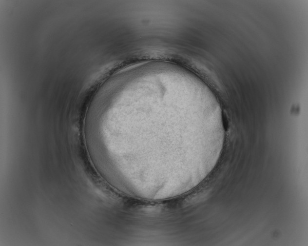 X0000091970306200710041054