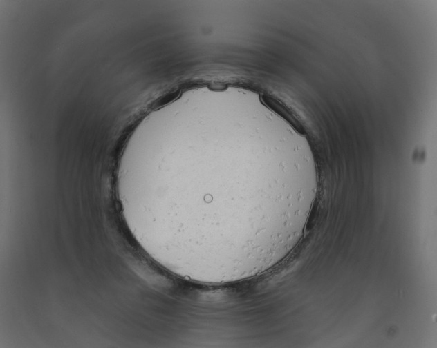X0000091970309200710041054