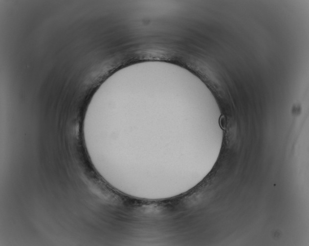 X0000091970310200710041054
