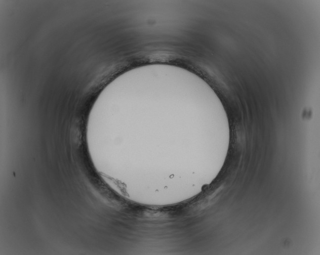 X0000091970311200710041054