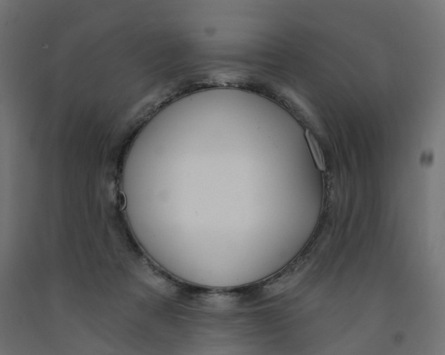 X0000091970313200710041054
