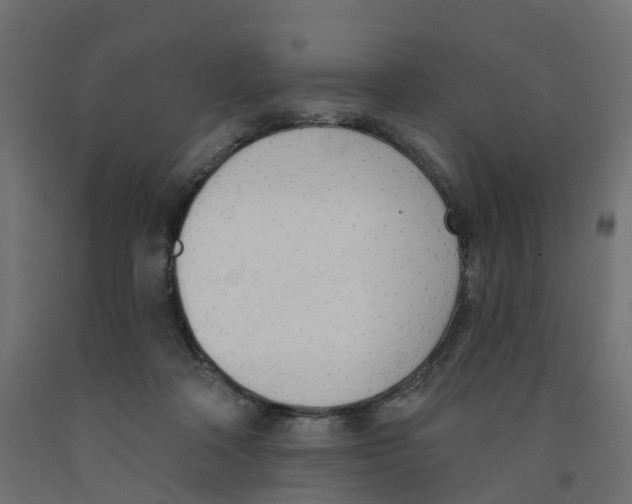 X0000091970314200710041054