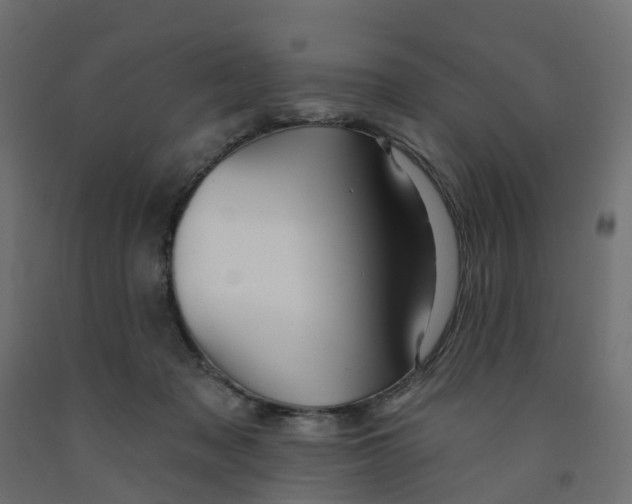 X0000091970317200710041054