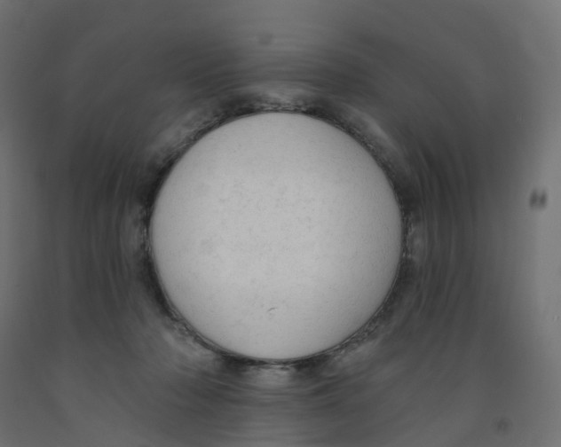 X0000091970318200710041054