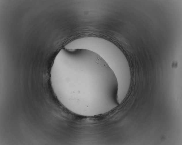 X0000091970320200710041054