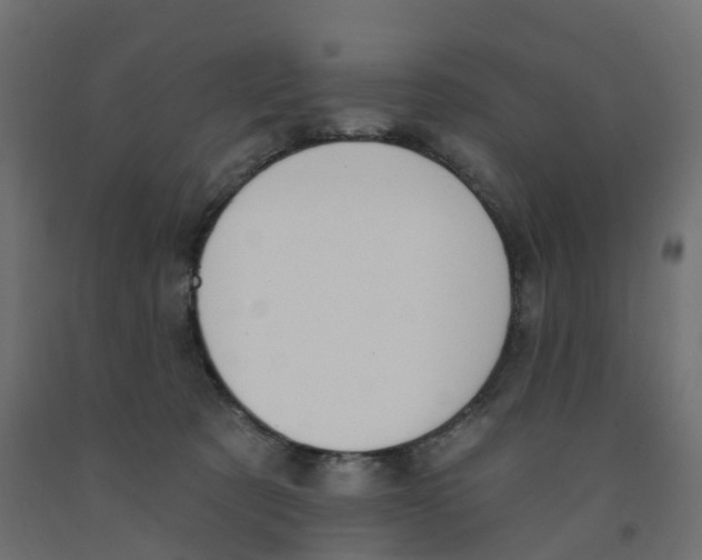 X0000091970321200710041054