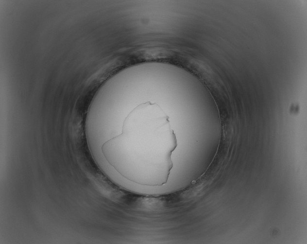 X0000091970327200710041054