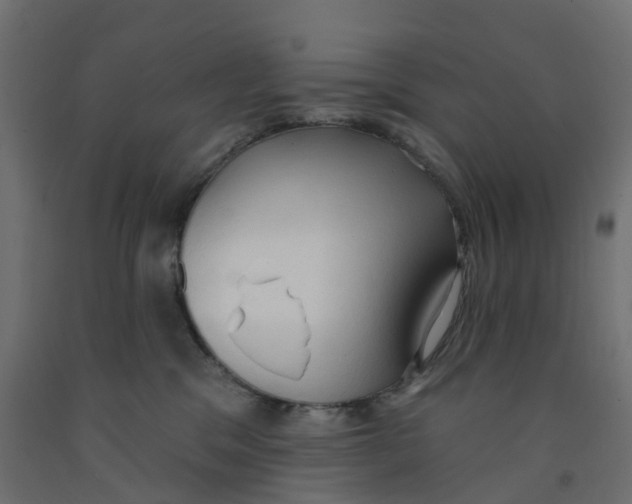 X0000091970329200710041054