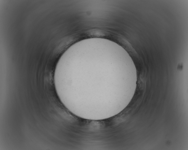 X0000091970330200710041054