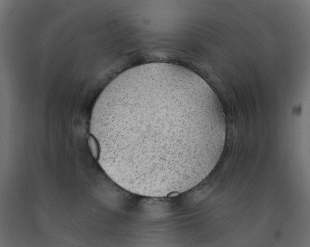 X0000091970331200710041054