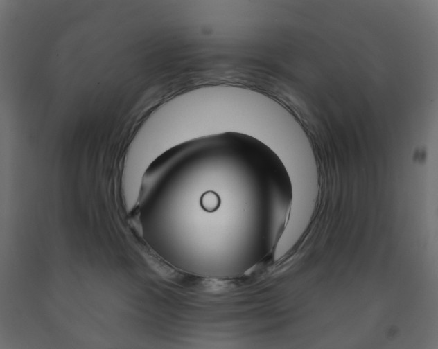 X0000091970333200710041054