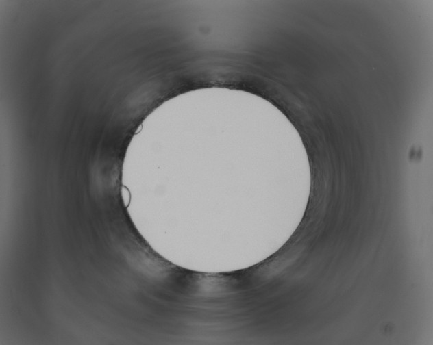 X0000091970336200710041054