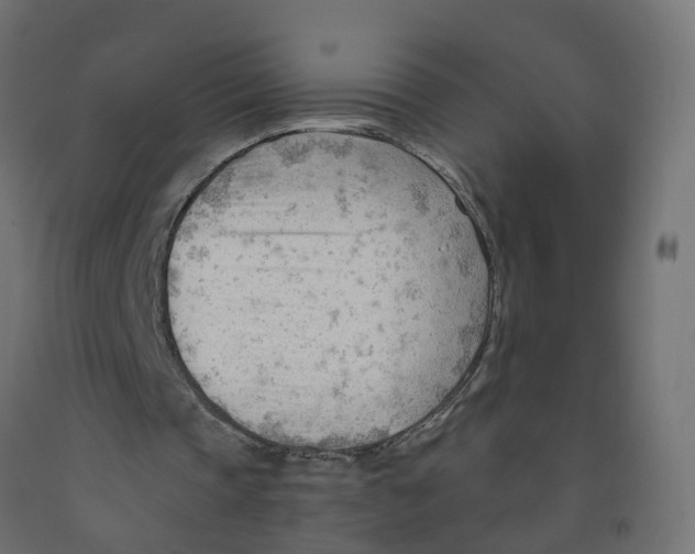 X0000091970337200710041053