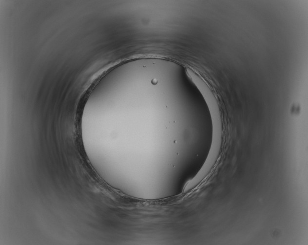 X0000091970338200710041053