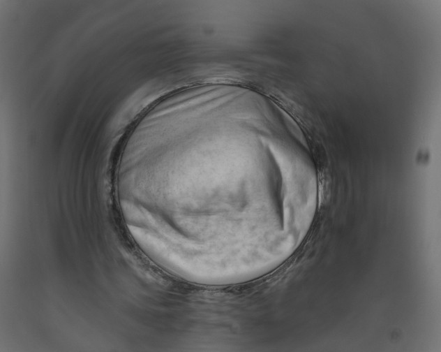 X0000091970339200710041053