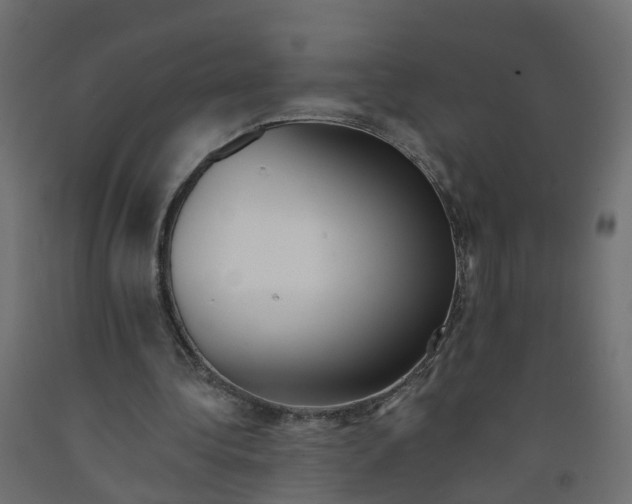 X0000091970340200710041053