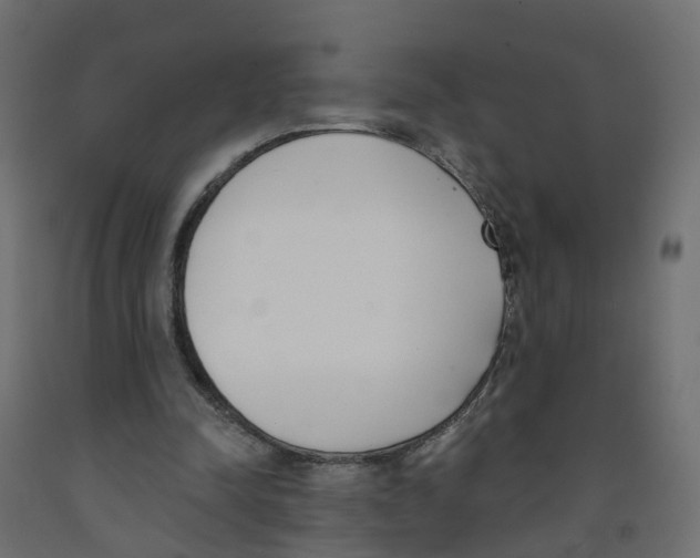 X0000091970342200710041053